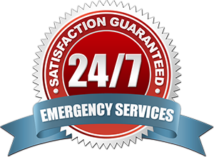 Emergency Services Logo