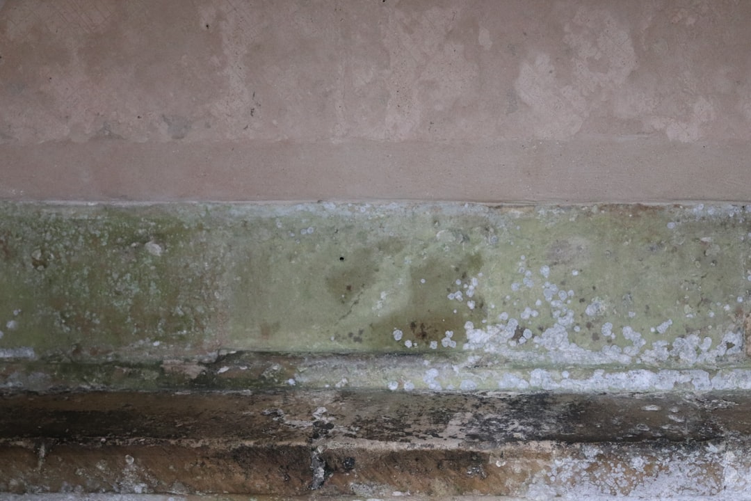 Blog 1 how proper ac maintenance prevents mold growth