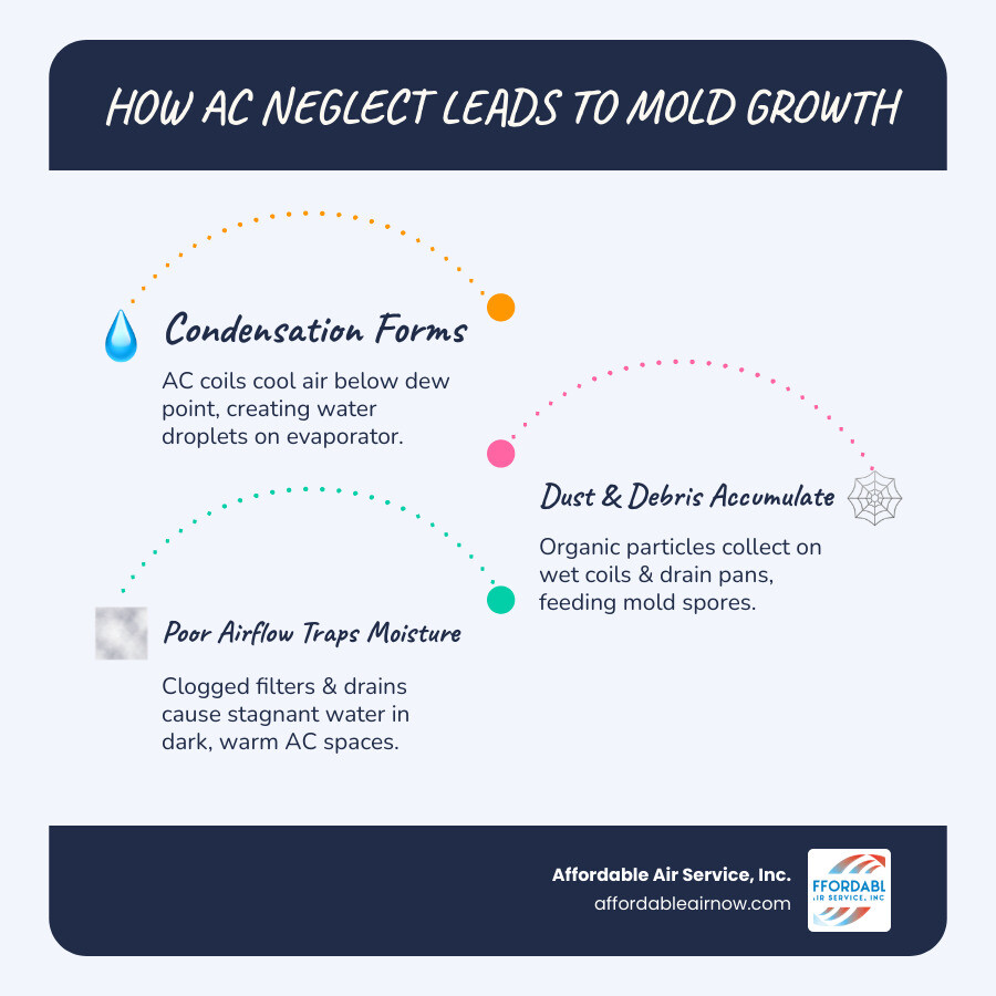 Blog 2 The Dehumidification Solution: Why Your AC is Your Best Defense Against Mold